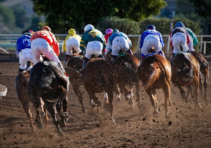 The Beginner’s Guide to Horse Racing Betting: Tips and Tricks for New Punters The Beginner’s Guide to Horse Racing Betting: Tips and Tricks for New Punters