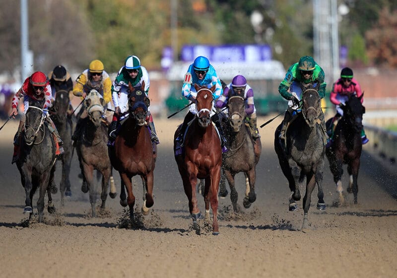 The Art of Handicapping: US and UK Horse Racing Explained The Art of Handicapping: US and UK Horse Racing Explained