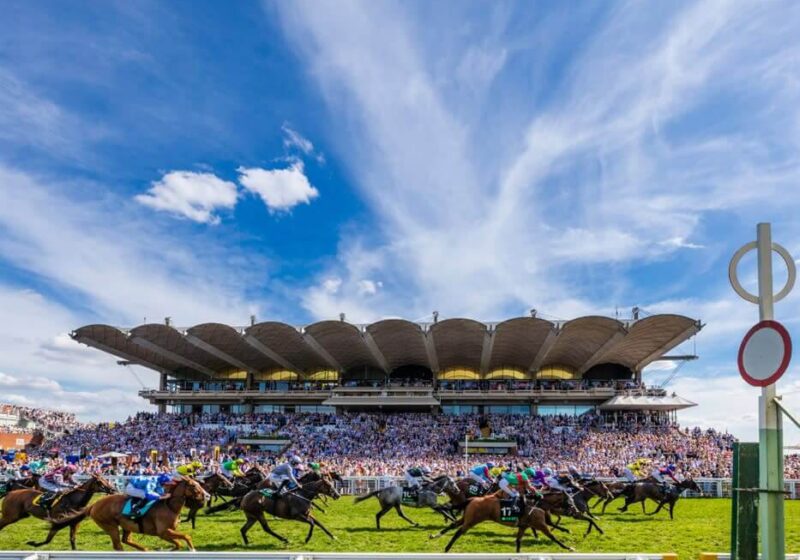 Glorious Goodwood Preview: Premium Tips for the Festival Introduction Glorious Goodwood Preview: Premium Tips for the Festival Introduction