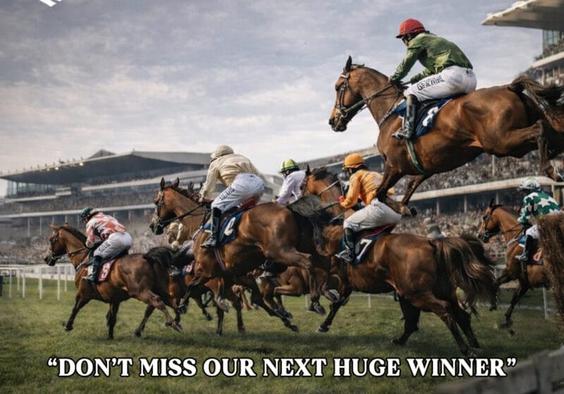 Cheltenham Festival Bankroll Strategy: A Professional Approach